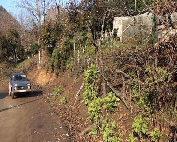 Azərbaycanda torpaq sürüşməsi oldu - Ağaclar torpaq altında qaldı - FOTO