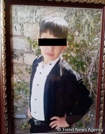 Bakıda it dişləyən 4-cü sinif şagirdi öldü - FOTO