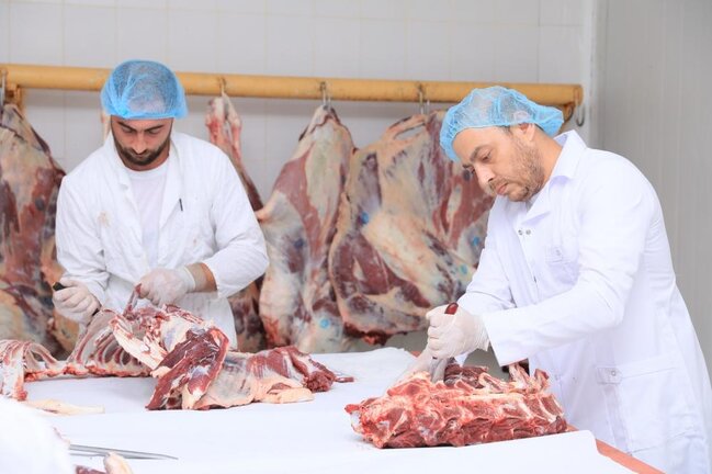 Heydər Əliyev Fondu şəhid ailələrinə Qurban bayramı münasibətilə sovqatlar göndərib