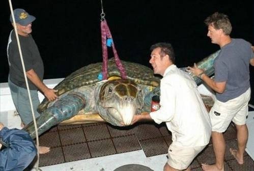 Dünyanın ən maraqlı şəkilləri - FOTO