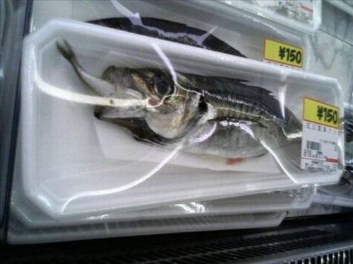 Dünyanın ən maraqlı şəkilləri - FOTO