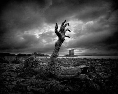 Dünyanın ən maraqlı şəkilləri - FOTO