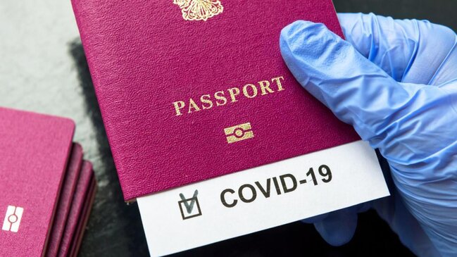 "COVİD 19" pasportu uçuşlar bərpa olunduqdan sonra tətbiq oluna bilər