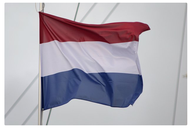 Niderland ordusu Ukrayna missiyasına hazır olduğunu açıqlayıb