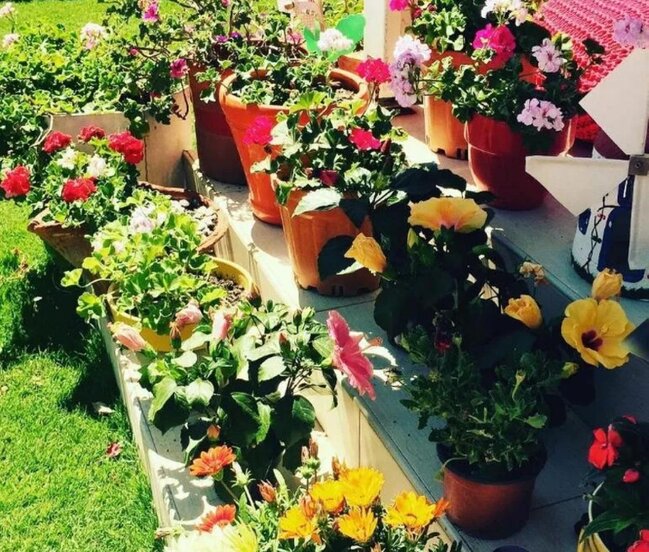 Məşhur aktrisanın Çeşmədəki qırmızılı villası - FOTOLAR