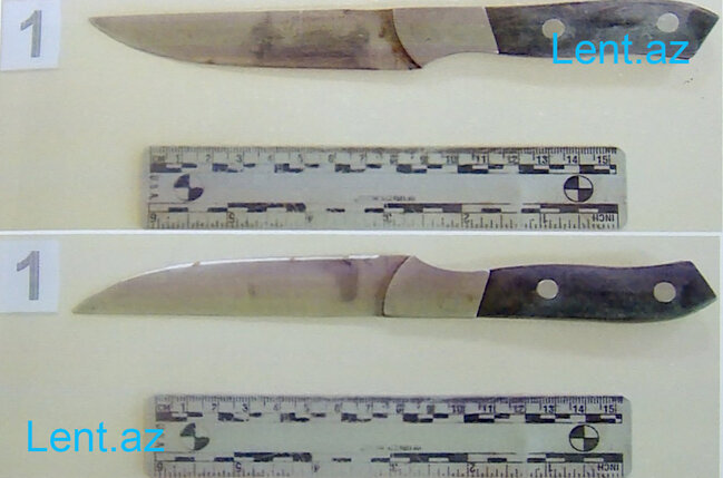 "İnstagram"dakı şəkillərə görə anasını və bacısını öldürdü - "Razin"dəki qətlin TƏFƏRRÜATLARI