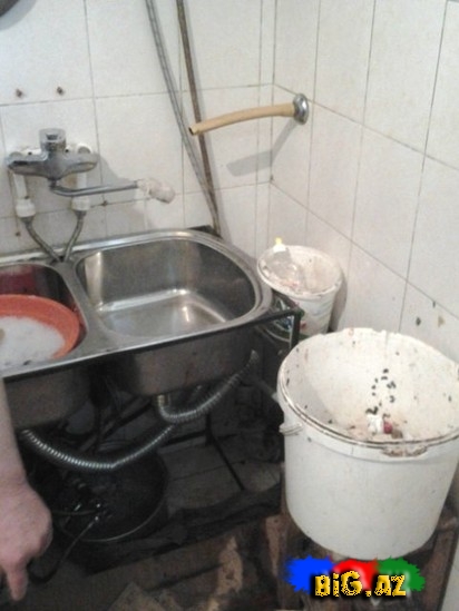 Bakının bu kafesində qorxulu faktlar aşkarlandı - FOTO