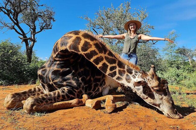 Zürafəni öldürüb ürəyini çıxaran qadın qalmaqala SƏBƏB OLDU - FOTO