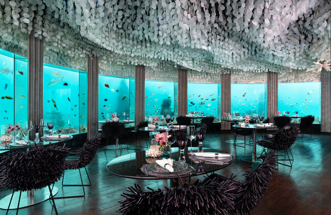 Maldiv adalarında azərbaycanlı turistlər üçün xüsusi təklif - FOTOLAR-VİDEO