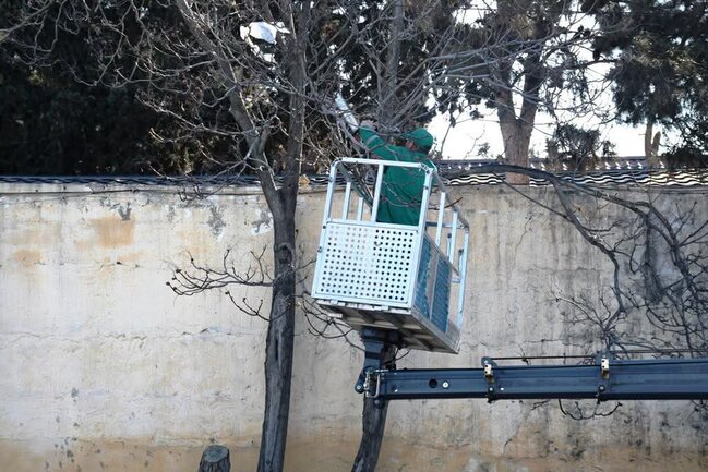 Paytaxtın qəsəbələrində iməclik keçirilib