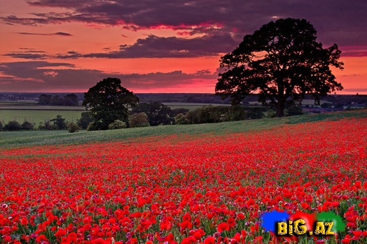 Zövqünüzü oxşayacaq mükəmməl mənzərələr - FOTO