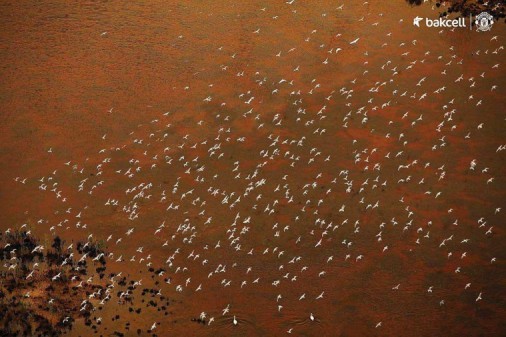 Səmadan Azərbaycan mənzərəsi– FOTOLAR