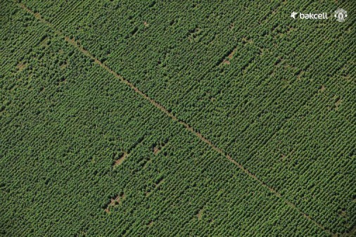 Səmadan Azərbaycan mənzərəsi– FOTOLAR