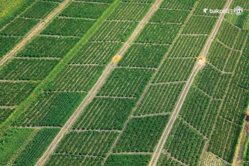 Səmadan Azərbaycan mənzərəsi– FOTOLAR