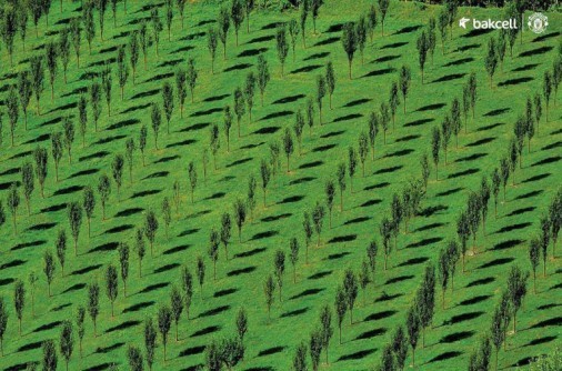 Səmadan Azərbaycan mənzərəsi– FOTOLAR