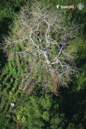 Səmadan Azərbaycan mənzərəsi– FOTOLAR