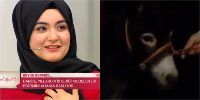 QALMAQAL! Hicablı gəlin üçün studiyaya eşşəklə gəldi - VİDEO