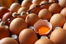 Nadirən rastlanan hadisə - Yumurtadan yumurta çıxdı - FOTO