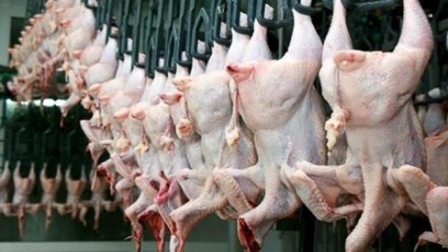 Bakıda inanılmaz oğurluq – Fabrikdən 170 minlik toyuq aparıldı