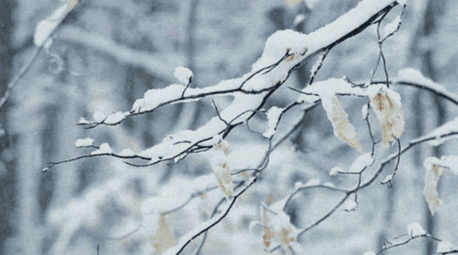 Bu ərazilərə qar yağır