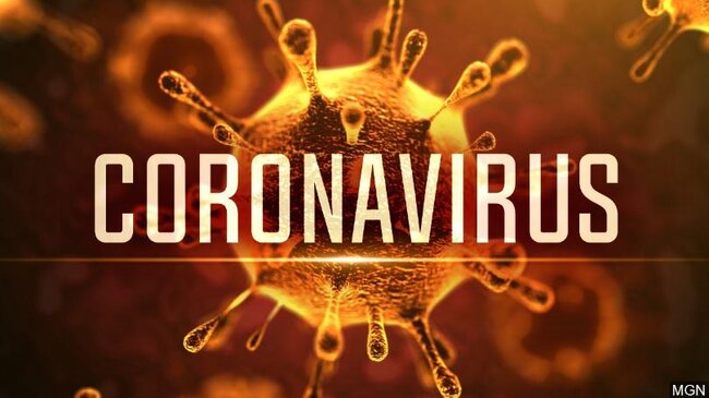 Koronavirusla bağlı hər şey: bakterioloji silah, yoxsa təbii mutasiya? - ARAŞDIRMA