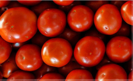 Pomidorun bahalaşmasında PARADOKS - Ekspert "10 gün" dedi