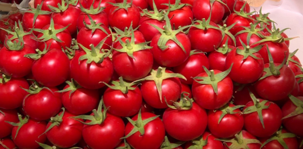 Pomidorun qiyməti "üz qızardır": bahalaşma davam edəcək... - VİDEO