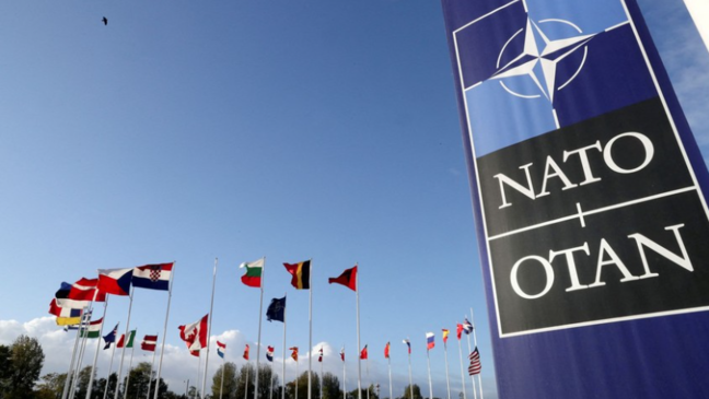 NATO rəsmisi: Azərbaycanla qarşılıqlı faydalı tərəfdaşlıq qurmuşuq