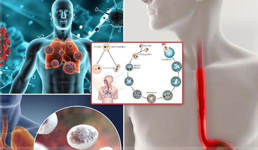 Yeni virus COVID-dən daha təhlükəlidir? - Mütəxəssis izah edir