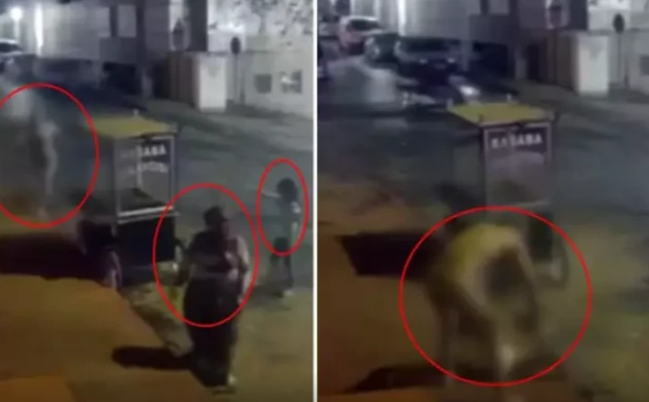 Türkiyədə DƏHŞƏT: çılpaq kişi küçədə arvadını doğradı - HADİSƏ ANI