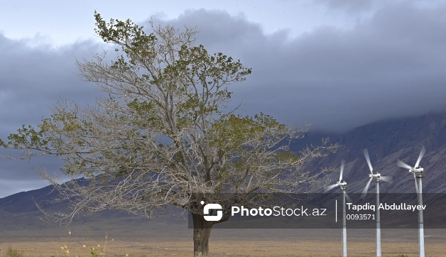 Yağıntılı və küləkli hava NƏ VAXTADƏK DAVAM EDƏCƏK?