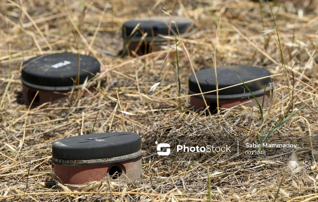 Litva piyada əleyhinə minaların istifadəsini qadağan edən konvensiyadan çıxdı