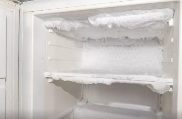 Doqquz uşaq anası iki körpəsinin cəsədini soyuducuda gizlətdi