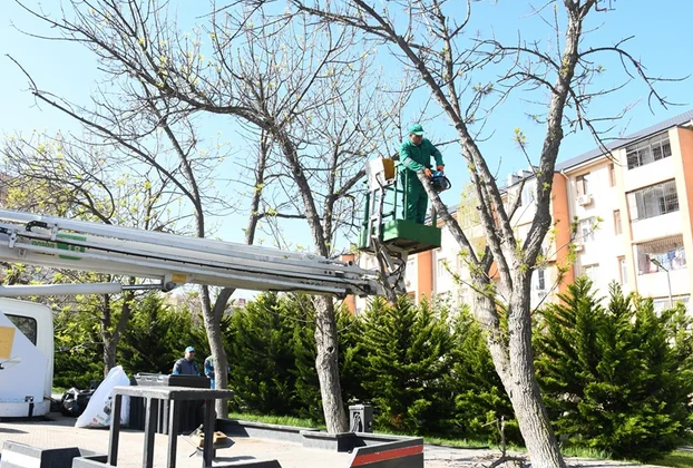 Bakıda yaz mövsümü ilə əlaqədar genişmiqyaslı daxili iməcilik keçirilib - FOTO