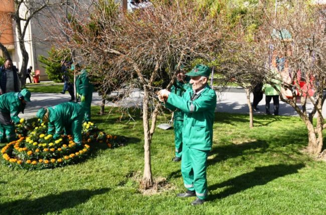 Bakıda yaz mövsümü ilə əlaqədar genişmiqyaslı daxili iməcilik keçirilib - FOTO