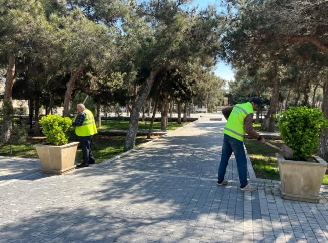 Bakıda yaz mövsümü ilə əlaqədar genişmiqyaslı daxili iməcilik keçirilib - FOTO
