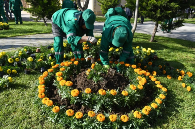 Bakıda yaz mövsümü ilə əlaqədar genişmiqyaslı daxili iməcilik keçirilib - FOTO