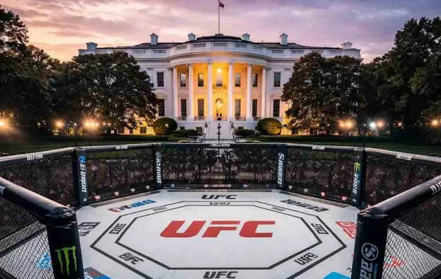 Ağ Evdə baş tutacaq UFC turnirində idmançılar nə qədər qazanacaqlar?