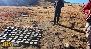 Hikmət Hacıyev ermənilərin basdırdığı minanın qurbanı olmuş qonur ayının görüntüsünü yayıb - FOTO