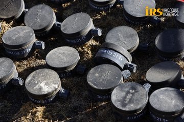 Hikmət Hacıyev ermənilərin basdırdığı minanın qurbanı olmuş qonur ayının görüntüsünü yayıb - FOTO