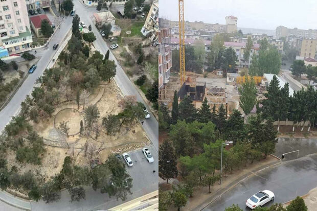 Bakıda parkda yaşıllıqları qurudub restoran tikmək istədilər - FOTO/VİDEO