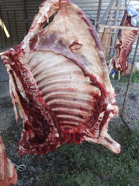 Mingəçevirdə ölmüş heyvan ətinin satışa çıxarılmasının qarşısı alındı - FOTOLAR