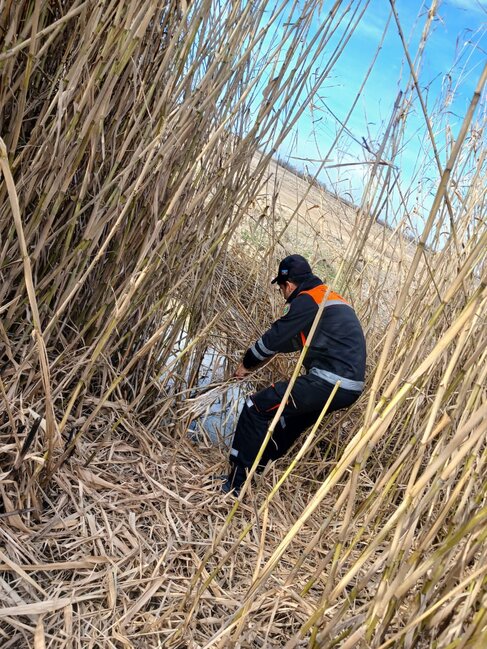 Dekabrda itən 11 yaşlı Rasimin axtarışı davam edir - Video