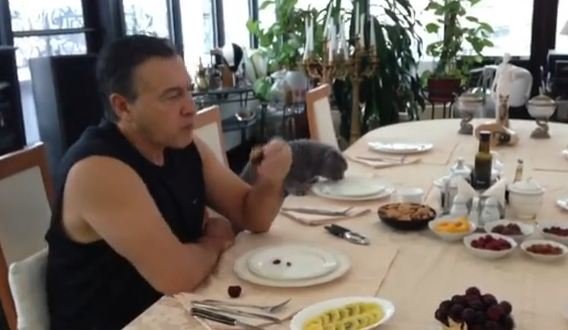 Araz Ağalarov pişiyi ilə səhər yeməyi yedi (VİDEO)