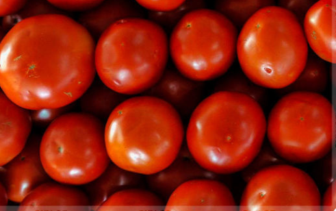Azərbaycanın daha 12 müəssisəsinə Rusiyaya pomidor və alma tədarükü üçün icazə verildi
