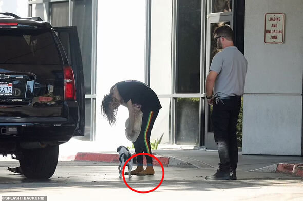 Məşhur model qəribə halı və pinti görüntüsü ilə pərəstikarlarını şoka saldı - FOTO-VİDEO