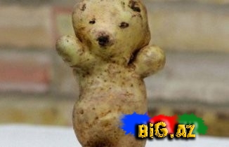 Qəribə formaya malik meyvə və tərəvəzlər - FOTO