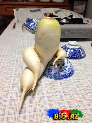 Qəribə formaya malik meyvə və tərəvəzlər - FOTO