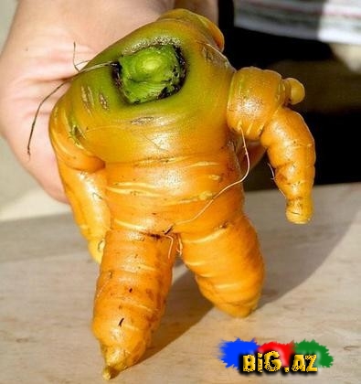 Qəribə formaya malik meyvə və tərəvəzlər - FOTO