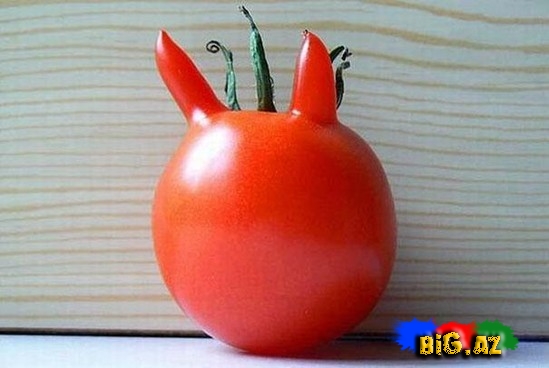 Qəribə formaya malik meyvə və tərəvəzlər - FOTO